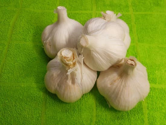 canva garlic