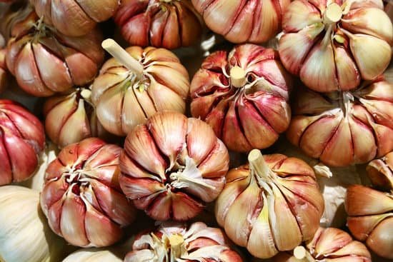 canva garlic