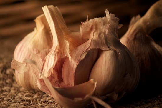 canva garlic MADBpB0NOmI