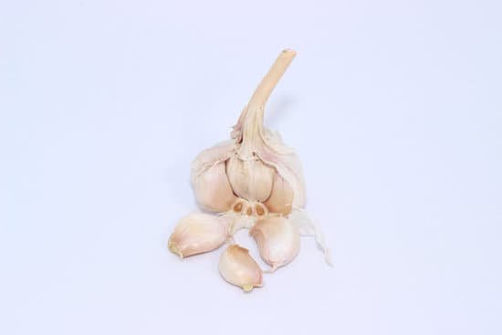 canva garlic MADBuzjfyEY