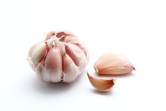 canva garlic MADCVR32PiQ