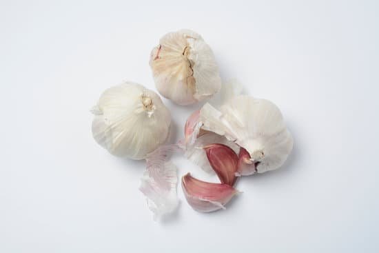 canva garlic MADE6vW530M