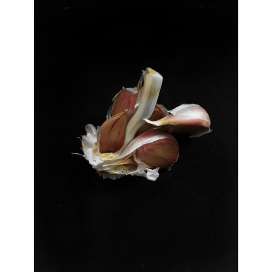 canva garlic