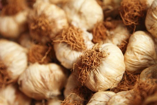 canva garlic MAEE6D9euaA