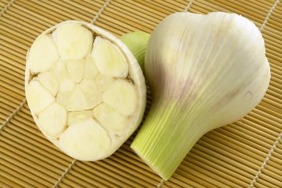 canva garlic MAEEDGYRlJ8