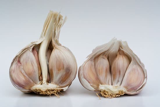 canva garlic MAEEGj yfdQ