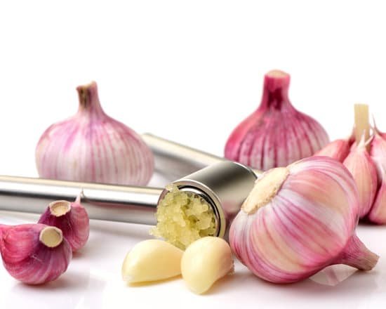 canva garlic press and garlic MADCQoErrio
