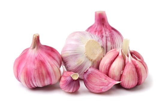 canva garlic press and garlic MADCQrom5qI