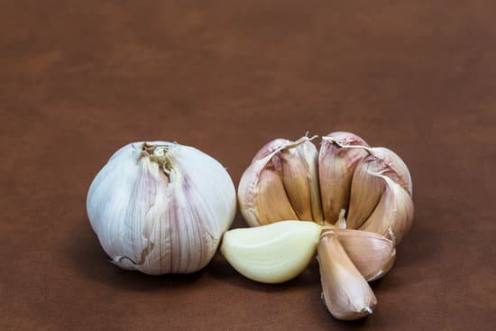 canva garlic. MADBL qzb50