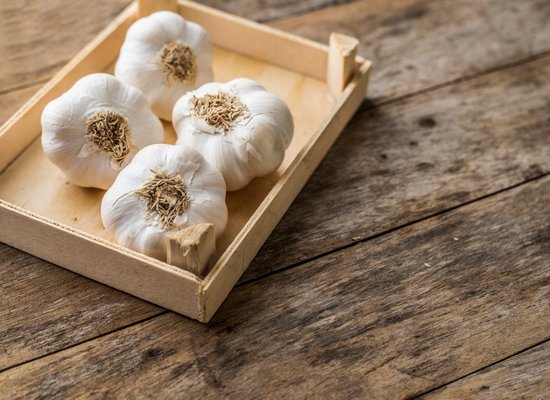 canva garlic. garlic cloves and garlic bulb MADF0BHmJ0g