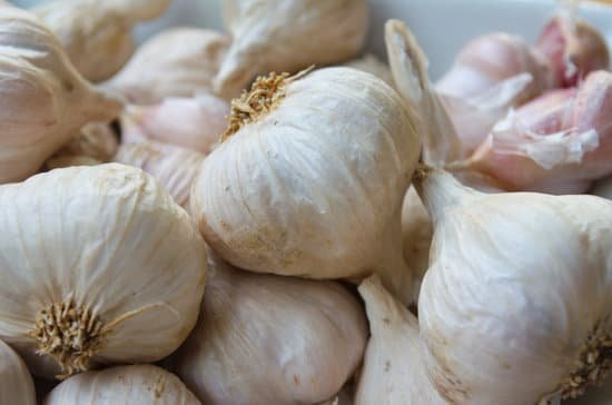 canva garliccommon garlic MADA1KPzifQ