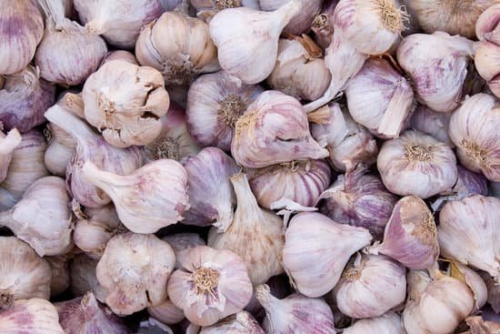 canva garlics MADAKBoZz6E