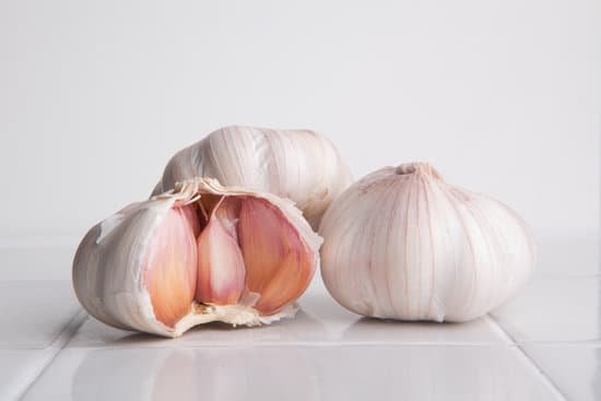 canva garlics MADB1G2yJag