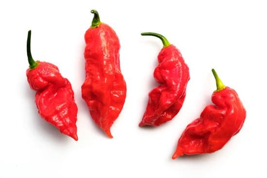 canva ghost peppers