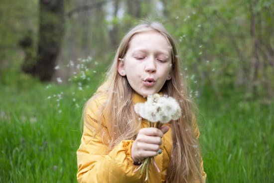 canva girl blowing dandelion MAD6wdDVsK8