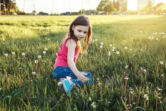 canva girl picking dandelions in a park MAD 0lXiyII