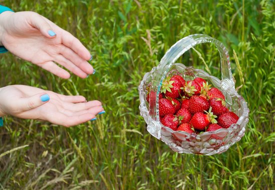 canva glass vase with a red ripe strawberry flies against a grass background MADFwXq1ePM