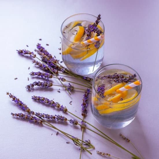 canva glasses of lemon and lavender water MAEEwEfu6mc
