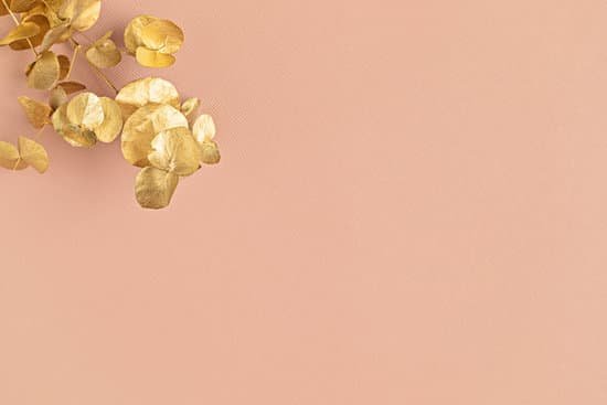 canva golden eucalyptus branch on beige background MAD v36z0jc
