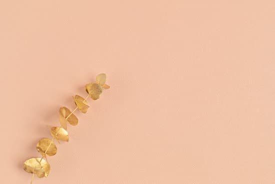 canva golden eucalyptus branch on beige background MAD v e1DK4