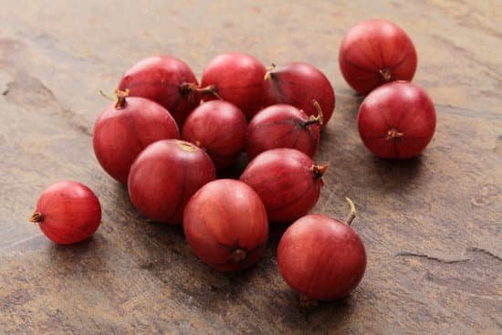 canva gooseberries MABiWVpyp9c