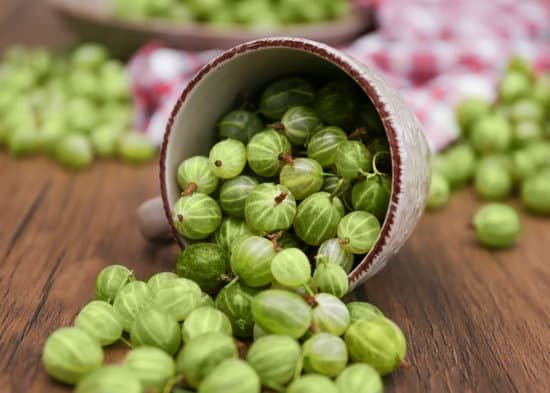 canva gooseberries in a cup MAD QybaMmc