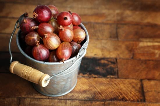 canva gooseberries in a metal bucket MAD MQC89lw