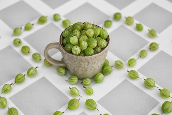 canva gooseberries with cup on table MAD Q1FL 1U