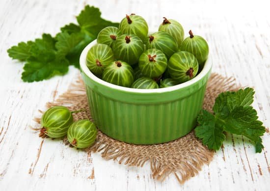 canva gooseberries with leaves MAC5uoPv0UY