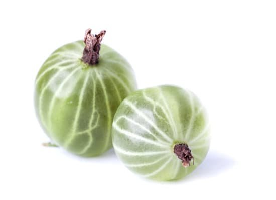 canva gooseberry MADAARGQgI8