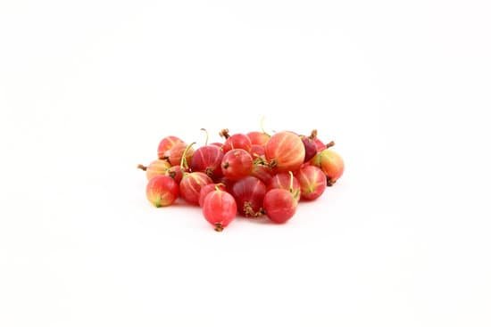 canva gooseberry MADBVUtaicM