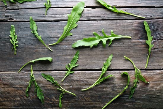 canva green arugula leaves on wooden table MAD MYvQNDo