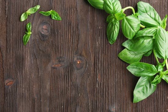 canva green basil on wooden background MAD MaQWAwk
