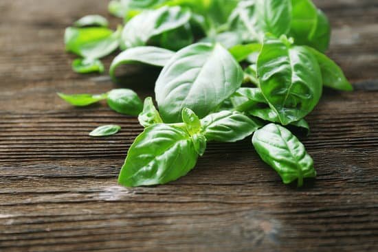 canva green basil on wooden background MAD MbC1lHY