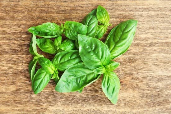 canva green fresh basil leaves on wooden background MAD MaTyhrU