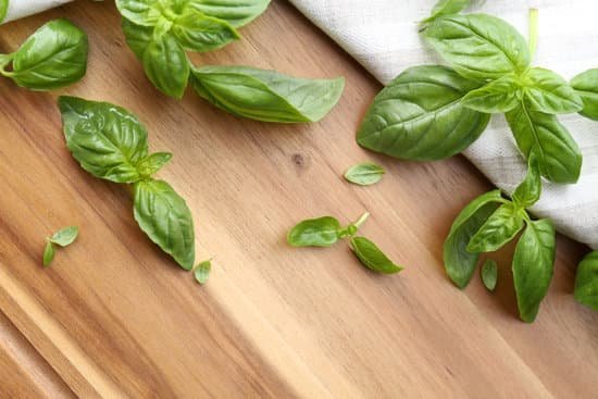 canva green fresh basil leaves with napkin on table close up MAD MXpTOTg