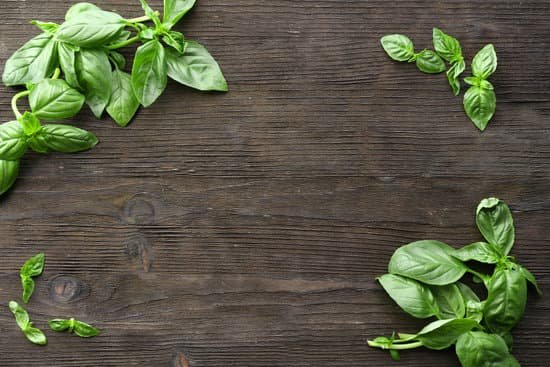 canva green fresh basil on wooden background MAD MQmJOa4