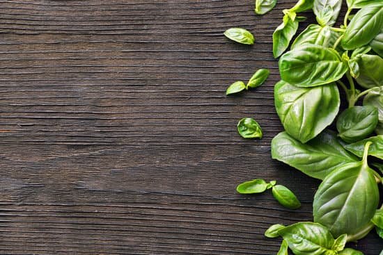 canva green fresh basil on wooden background MAD MReasL4