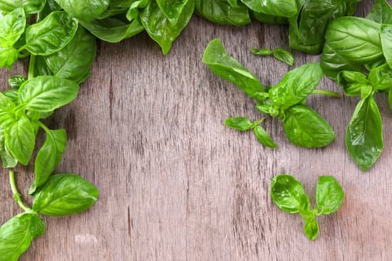 canva green fresh basil on wooden background MAD MULI5R4