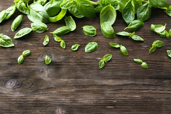 canva green fresh basil on wooden background MAD MYF OlM