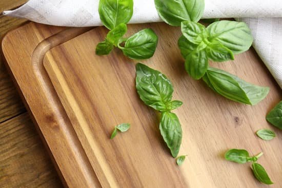 canva green fresh basil with napkin MAD MY2ftn8