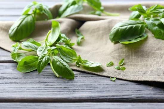 canva green fresh basil with napkin MAD MfIyUOI