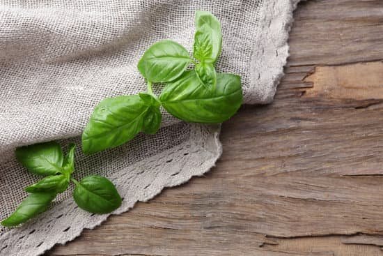 canva green fresh basil with napkin on wooden surface MAD MbzD8uc