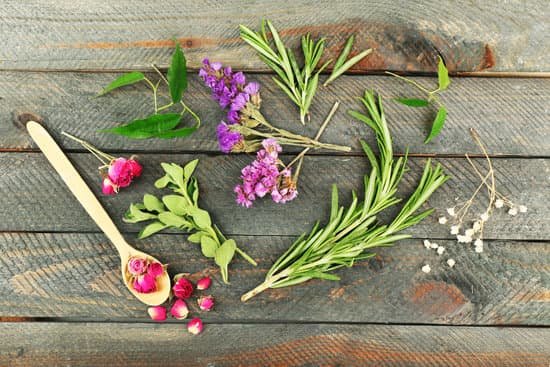 canva green herbs and leaves on wooden table MAD MUfuBqc