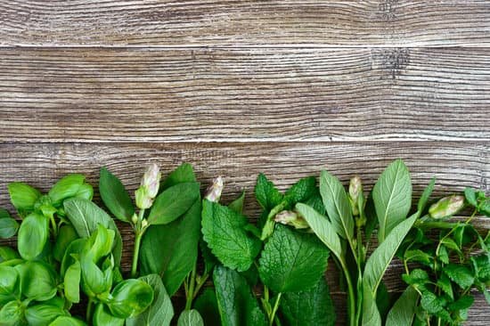 canva green herbs on a wooden background MAD8mlAtiCc