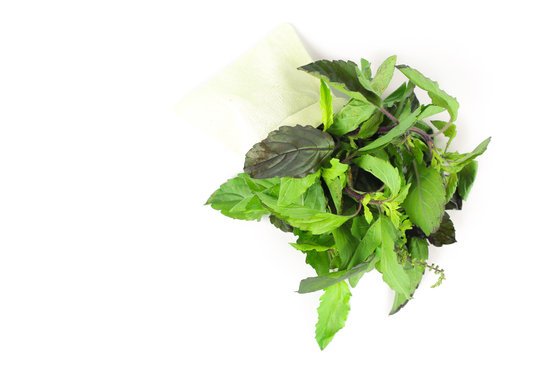 canva green holy basil hot basil ocimum sanctum MADFM9KddLM
