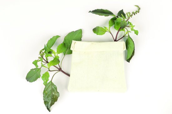 canva green holy basil hot basil ocimum sanctum MADFNADmKbY