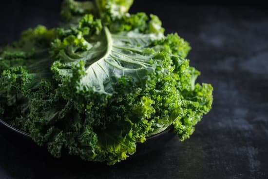 canva green lettuce leaves MAEFU6WQE9o