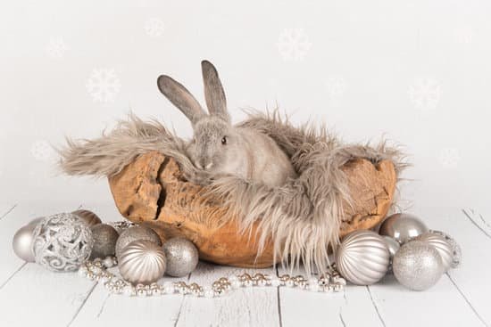 canva grey rabbit in a christmas scene as christmas card MAC2jtf07tc