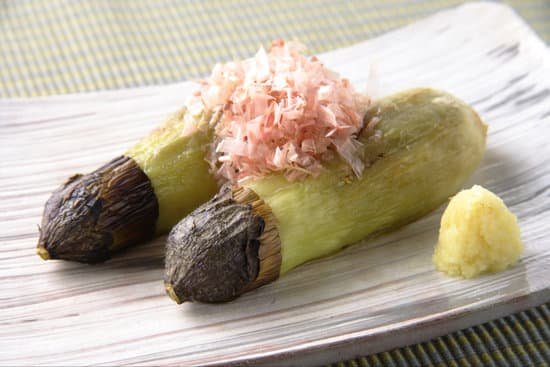 canva grilled eggplant MADACPAG5yI
